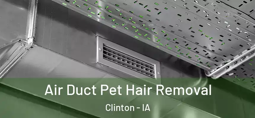 Air Duct Pet Hair Removal Clinton - IA