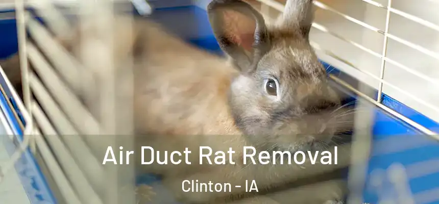  Air Duct Rat Removal Clinton - IA