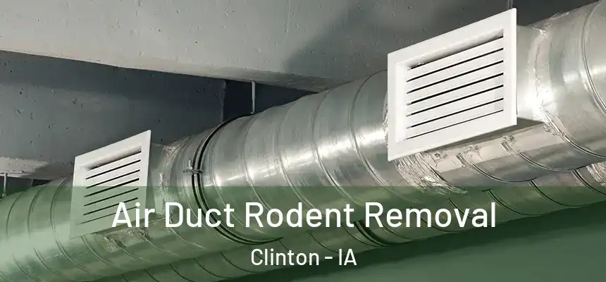 Air Duct Rodent Removal Clinton - IA