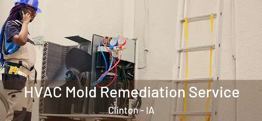  HVAC Mold Remediation Service Clinton - IA