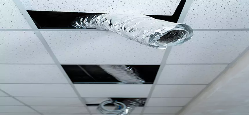 Our Air Duct Pet Hair Removal Services in Clinton, IA