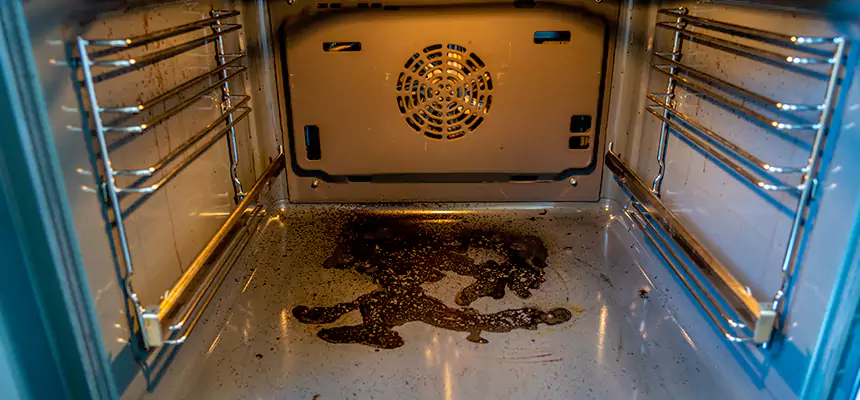 Our Dryer Vent Mold Cleaning Services in Clinton, IA