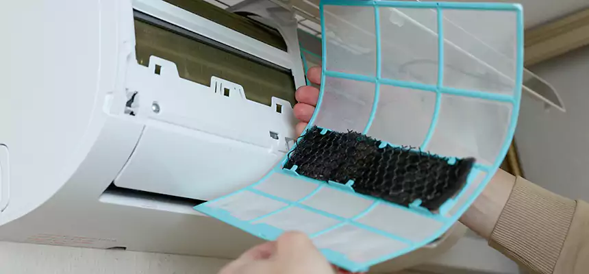 Gentle Ductwork Odor-Control Pet Dander Duct Cleaning in Clinton, IA