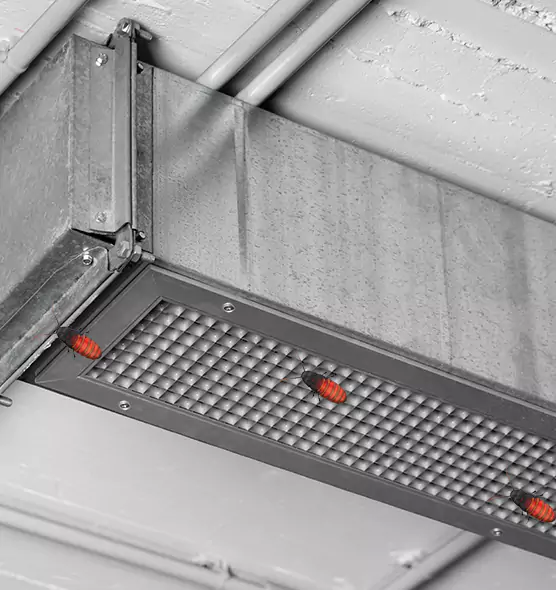 About Air Duct Cockroach Removal in Clinton, IA