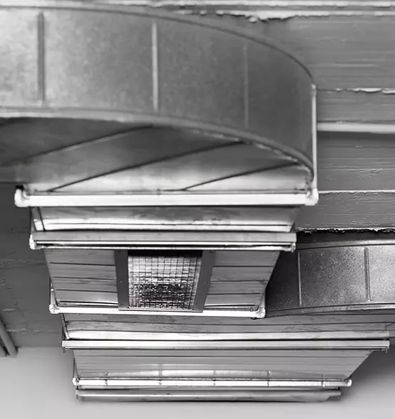 Professional Air Duct Pest Removal in Clinton, IA