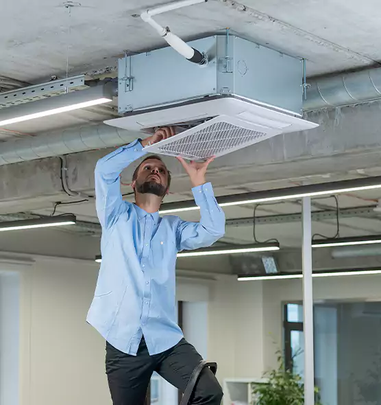 Advanced Rodent Droppings In Vents in Clinton, IA