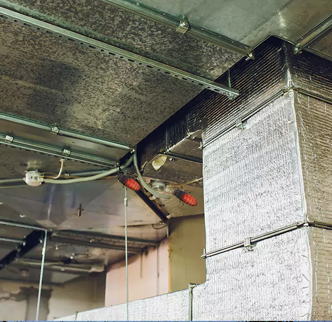 Why Homeowners & Businesses Trust Us in Clinton, IA?